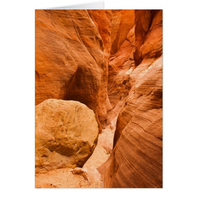 Red Hollow Slot Canyon (Voorkant)