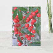 Red Holly Berry Branch en Sneeuw Vakantie Kerstmis Kaart (Voorkant)