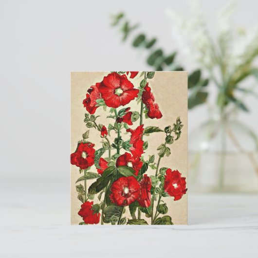 Red Hollyhocks Briefkaart (Staand voorkant)