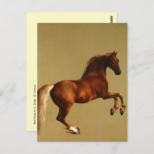 RED HORSE BRIEFKAART (Voorkant / Achterkant)