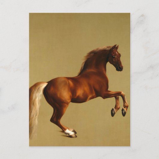 RED HORSE BRIEFKAART (Voorkant)