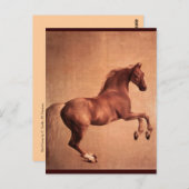 RED HORSE BRIEFKAART (Voorkant / Achterkant)