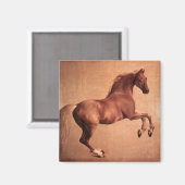 RED HORSE MAGNEET (Voorkant / Achterkant)