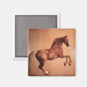 RED HORSE MAGNEET (Voorkant / Achterkant)