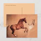 RED HORSE MONOGRAM BRIEFKAART (Voorkant / Achterkant)