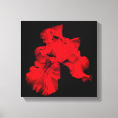 Red Hot-Bearded Iris Flower Abstract Canvas Afdruk (Voorkant)