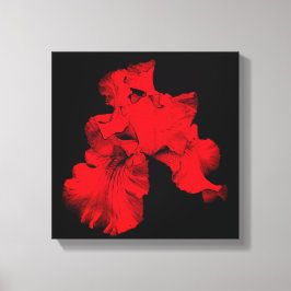 Red Hot-Bearded Iris Flower Abstract Canvas Afdruk