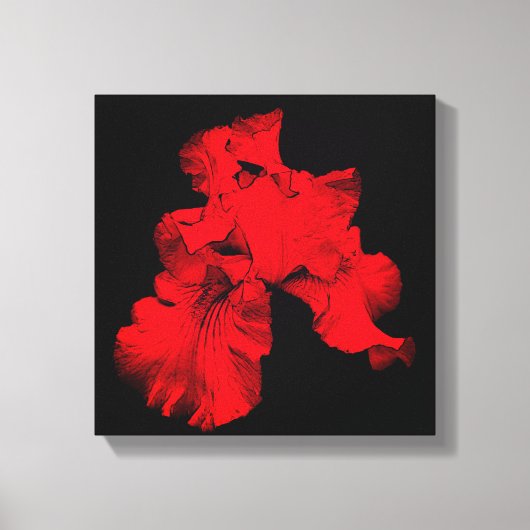 Red Hot-Bearded Iris Flower Abstract Canvas Afdruk (Voorkant)