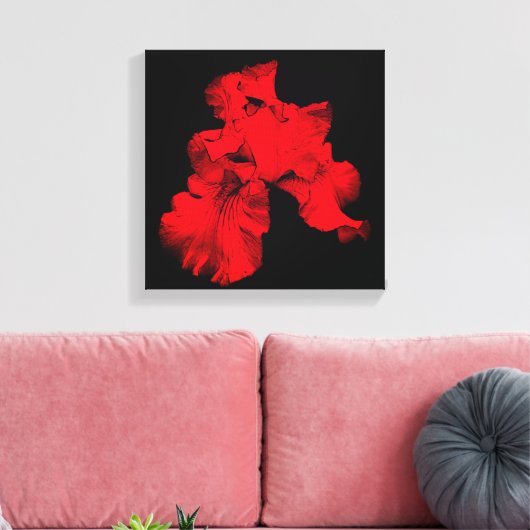 Red Hot-Bearded Iris Flower Abstract Canvas Afdruk (Insitu (Woonkamer))