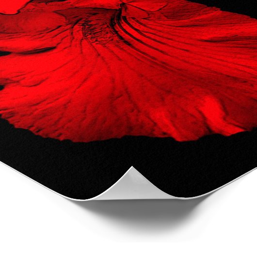 Red Hot-Bearded Iris-ventilator Poster (Hoek)