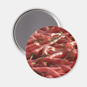 Red hot Chili magneet (Voorkant / Achterkant)
