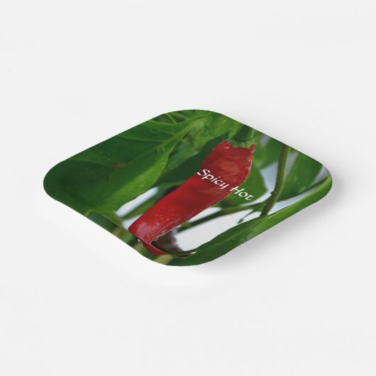 Red Hot Chili Pepper Green Red White Papieren Bordje (Gebogen)