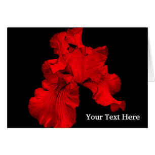 Red Hot Daffodil Floral-fotokaart