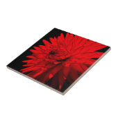 Red Hot Dahlia Floral Art Tile Tegeltje (Zijkant)