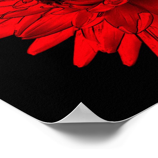 Red Hot Dahlia Flower Poster (Hoek)