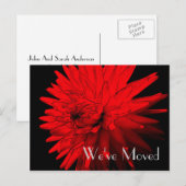 Red Hot Dahlia Nieuw adres Floral Art Briefkaart (Voorkant / Achterkant)