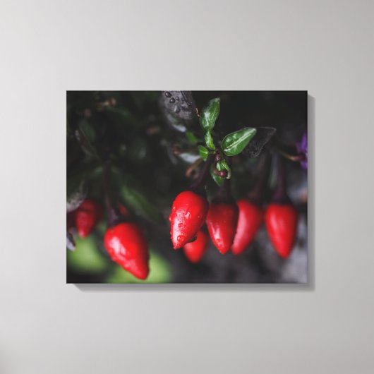 Red Hot Garden Salsa Chili Peppers. Canvas Afdruk (Voorkant)
