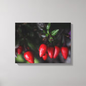 Red Hot Garden Salsa Chili Peppers. Canvas Afdruk (Voorkant)