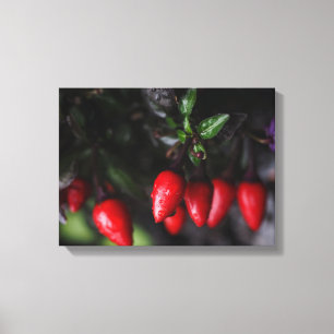 Red Hot Garden Salsa Chili Peppers. Canvas Afdruk