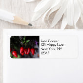 Red Hot Garden Salsa Chili Peppers. Etiket (Insitu)