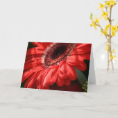 Red Hot Gerbera Kaart (Gele Bloem)