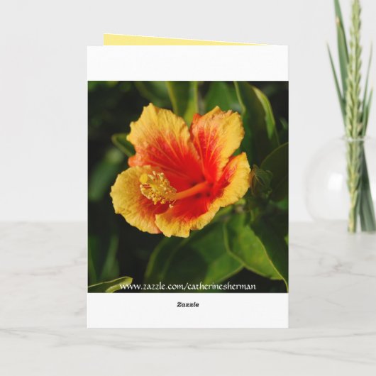 Red Hot Hibiscus Moederdag Kaart (Achterkant)