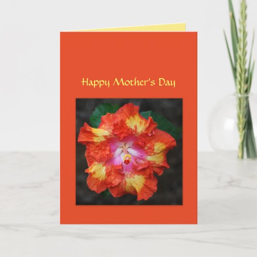 Red Hot Hibiscus Moederdag Kaart (Voorkant)