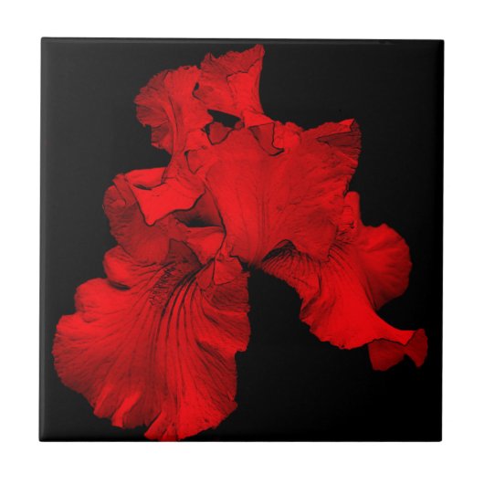 Red Hot Iris Floral Art Tile Tegeltje (Voorkant)