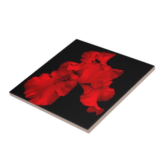 Red Hot Iris Floral Art Tile Tegeltje (Zijkant)