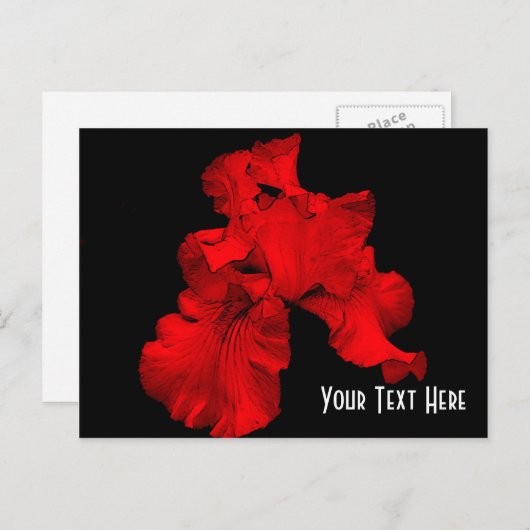 Red Hot Iris Floral Briefkaart (Voorkant / Achterkant)
