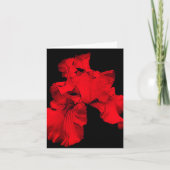 Red Hot Iris Flower Art Blank Note Kaart (Voorkant)