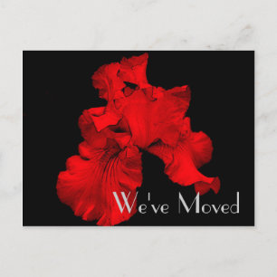 Red Hot Iris Nieuw adres Floral Art Briefkaart