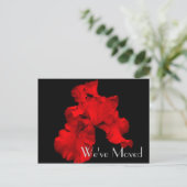 Red Hot Iris Nieuw adres Floral Art Briefkaart (Staand voorkant)