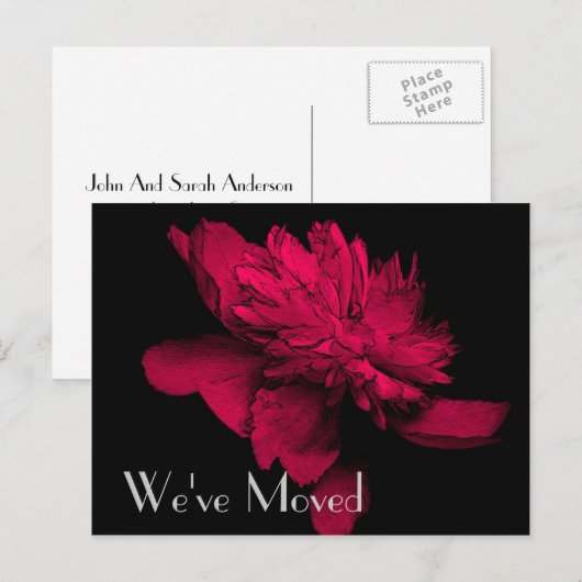 Red Hot Peony New Address Floral Art Briefkaart (Voorkant / Achterkant)