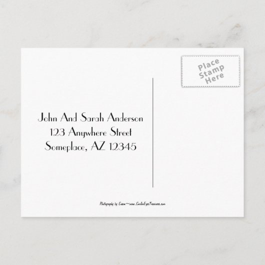 Red Hot Peony New Address Floral Art Briefkaart (Achterkant)