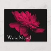 Red Hot Peony New Address Floral Art Briefkaart (Voorkant)