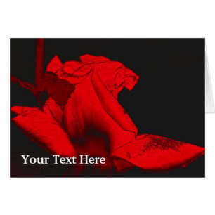 Red Hot Rosebud Floral Art-fotokaart