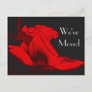 Red Hot Rosebud New Address Floral Art Briefkaart