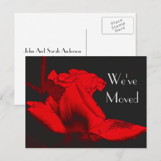 Red Hot Rosebud New Address Floral Art Briefkaart (Voorkant / Achterkant)