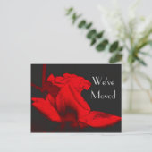 Red Hot Rosebud New Address Floral Art Briefkaart (Staand voorkant)