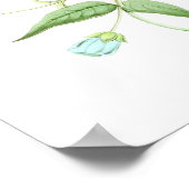 Red Hummingbird No.10 Antiek vogelafdrukken. Poster (Hoek)