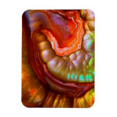 Red Iridescent Fire Opal Magneet (Verticaal)