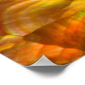 Red Iridescent Fire Opal Poster (Hoek)