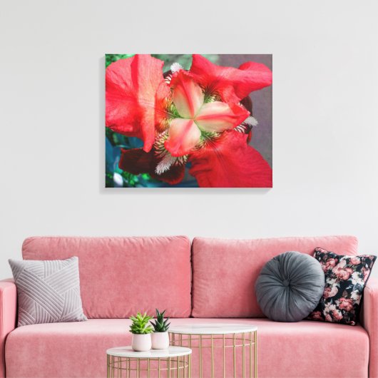 Red Iris Canvas Afdruk (Insitu (Woonkamer))