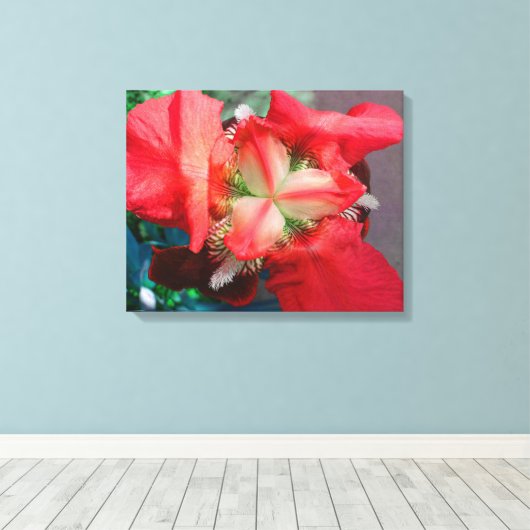 Red Iris Canvas Afdruk (Insitu (Houten vloer))