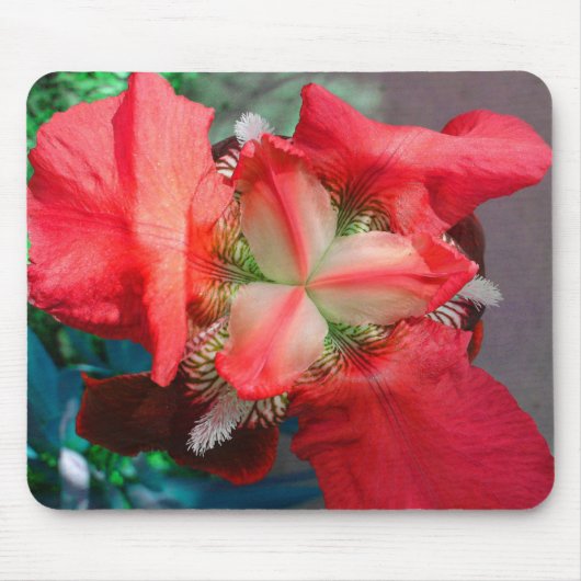 Red Iris Mousepad Muismat (Voorkant)