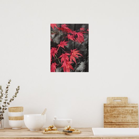 Red Japanese Maple Leaf Shadows Poster (Keuken)