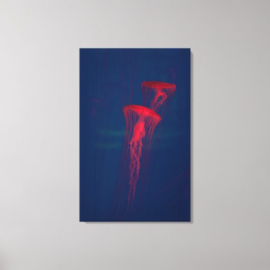 Red Jellyfish Canvas Afdruk (Voorkant)