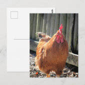 Red Jigzaag Briefkaart (Voorkant / Achterkant)