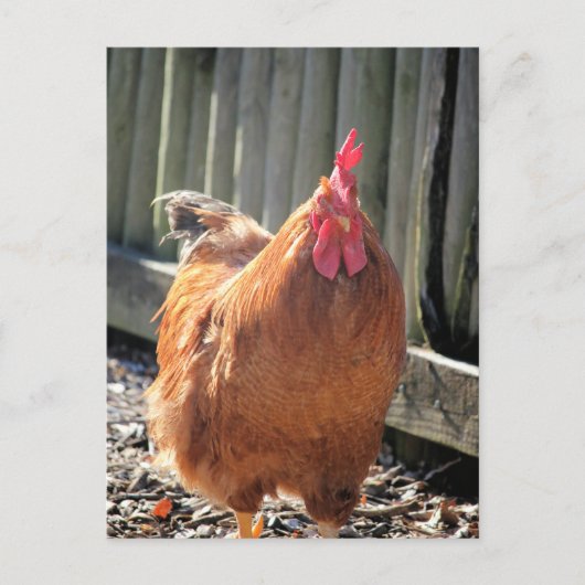 Red Jigzaag Briefkaart (Voorkant)